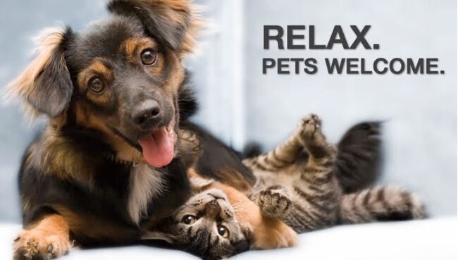 Cats and Dogs Welcome!** - Pinewood Park Villas