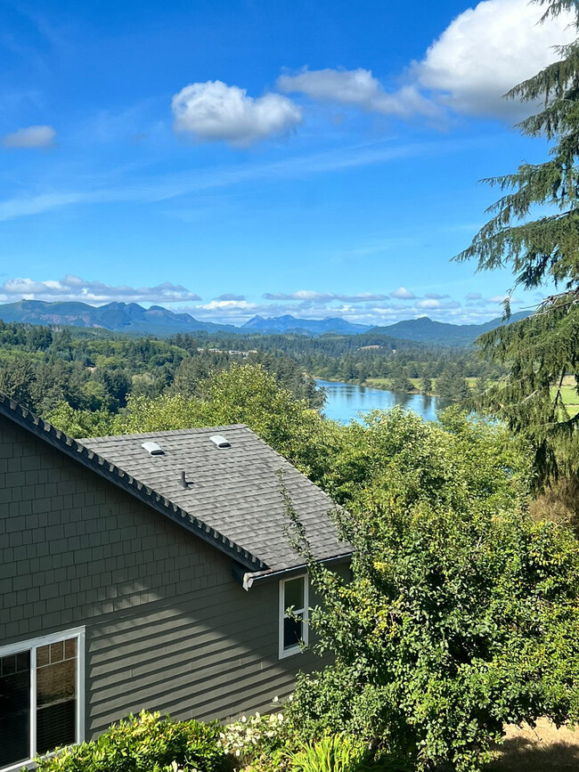 View from living room and kitchen windows - 35425 9th St