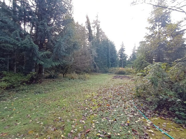 Foto del edificio - 2.5 Acres of Private Land in Poulsbo