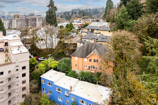 Aerial Photo - Cactus Court Apartments