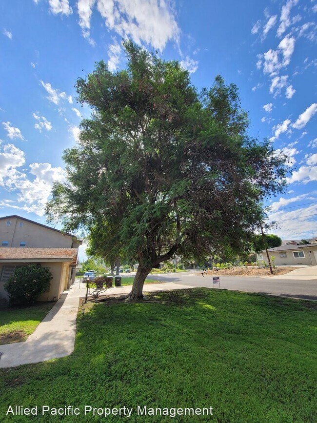 Foto del edificio - 4 br, 2 bath House - 24974 Tulip Ave.