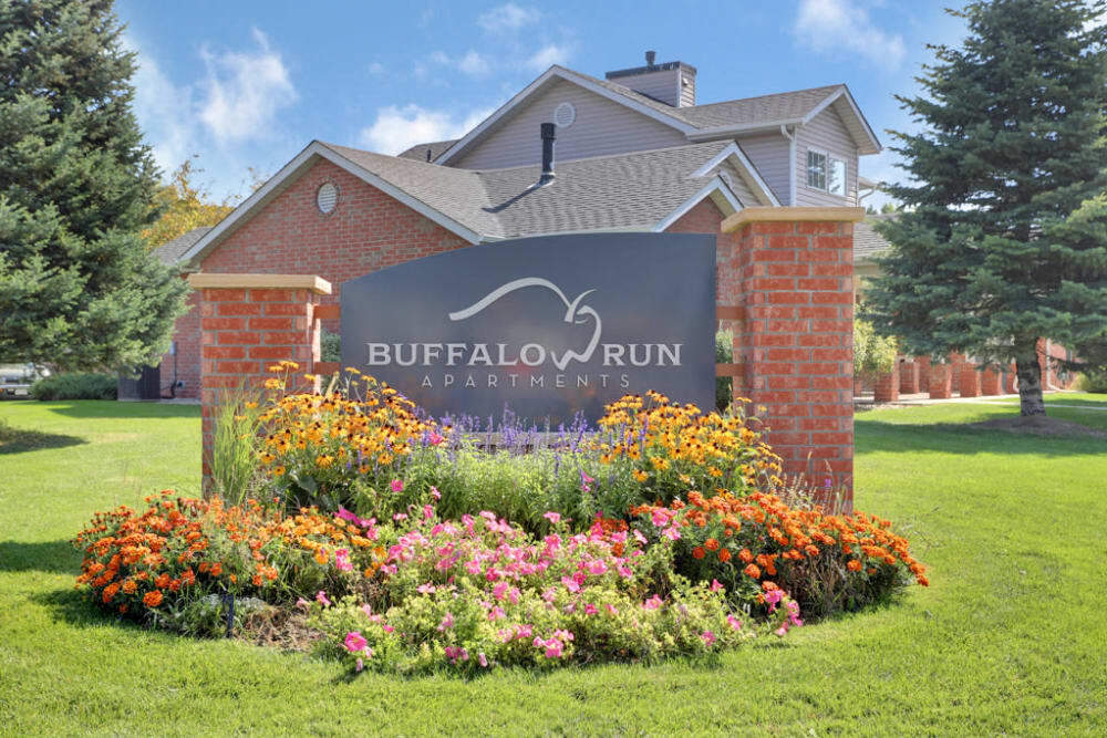 Primary Photo - Buffalo Run