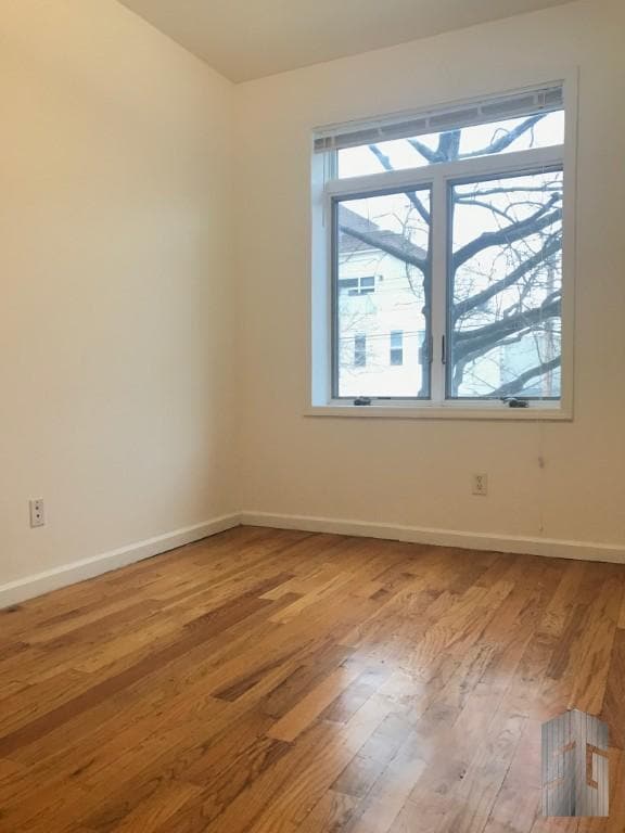 Foto del edificio - 3 bedroom in BROOKLYN NY 11225