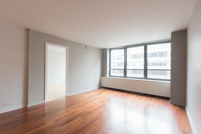 222 E Pearson St, Chicago, IL 60611 - Condo for Rent in Chicago, IL ...