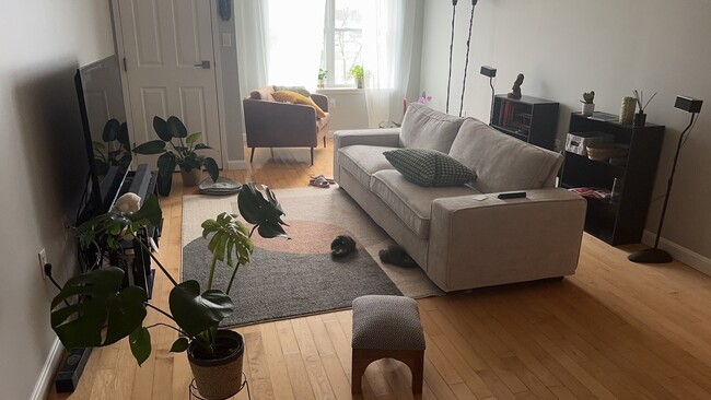 Building Photo - 30 Franklin St