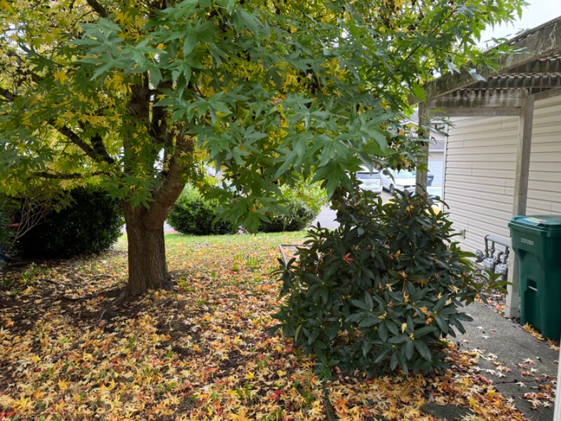 4011 168th Pl NE Unit B, Arlington, WA 98223 Condo for Rent in