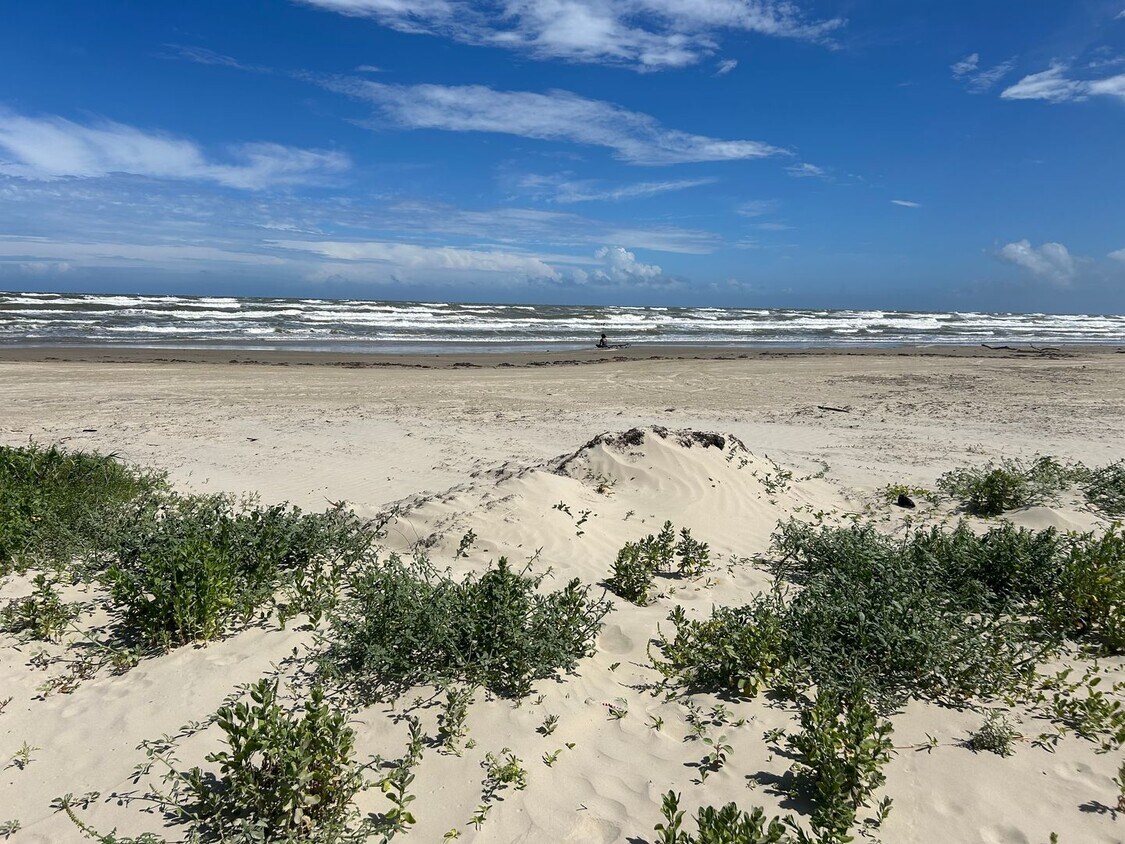 Foto principal - Mesmerizing Beachfront Retreat at Surfside...