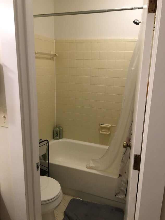 Master bathroom with tub/shower combo - 127 Greengate Court