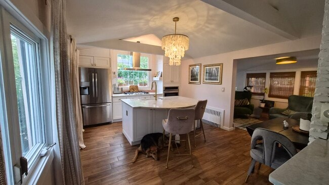 Kitchen - 557 Park Rd