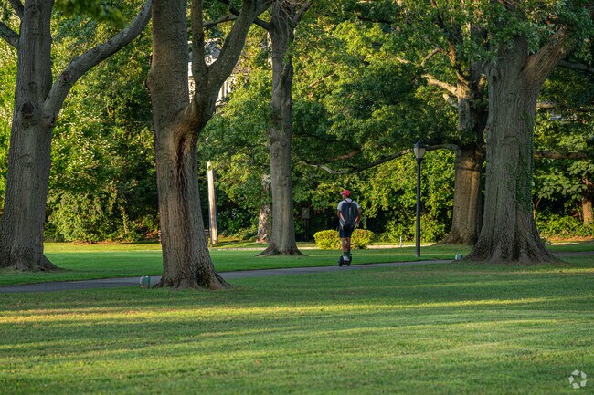 Great Neck Estates Park has a very calm environment