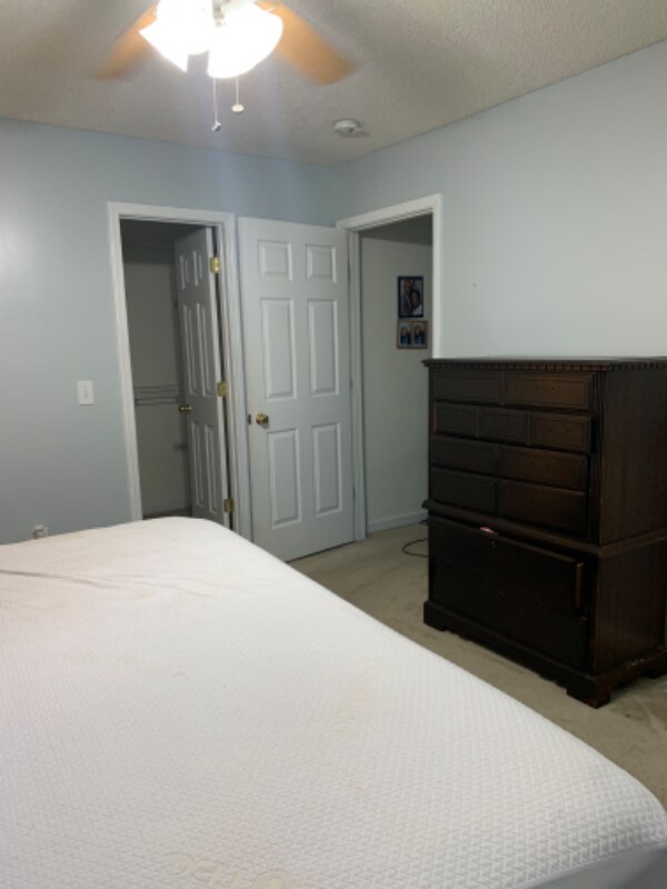 Foto principal - 331 Chickadee Ln