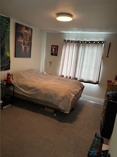 Building Photo - 537 Karcio Ct