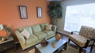 This single-floor space exudes a warm, earthy charm through its carefully curated design and color palette. The living area serves as the focal point of the home, featuring rich terracotta-toned accent walls that create a vibrant yet grounded ambiance. A plush sage green sofa anchors the seating area, complemented by coordinating accent pillows in warm earth tones that tie the color scheme together cohesively.

The space is adorned with decorative touches that add character and depth, including a tall, lush indoor bamboo plant that introduces a natural, organic element and draws the eye upward. Decorative ceramic vases in warm brown and amber hues are artfully arranged on a sleek coffee table, adding texture and visual interest. Framed botanical artwork on the walls further reinforces the nature-inspired aesthetic.

Dark hardwood flooring provides a rich contrast to the warm wall tones, while a large window fitted with horizontal blinds allows natural light to filter into the room, brightening the space and creating an airy feel. Additional seating is provided by a patterned accent chair, ensuring the living area is both functional and stylish. Overall, the space presents a harmonious blend of comfort, warmth, and thoughtful design.