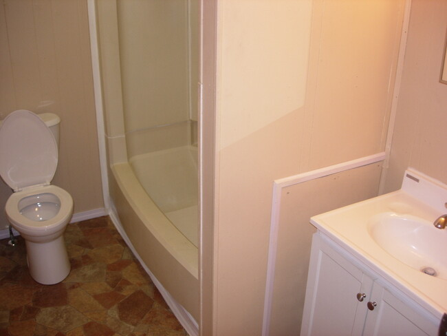 Bathroom - 233 E Bigelow Ave