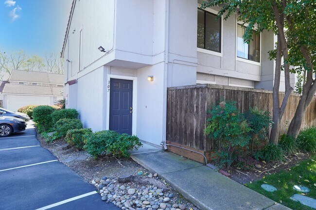 Building Photo - Beautiful Pacheco Condo!