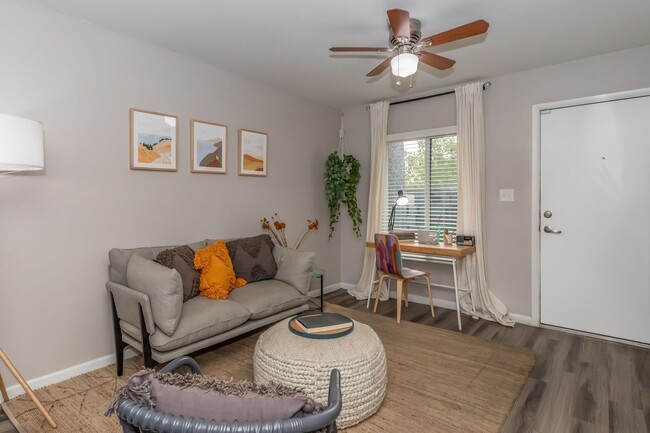 Interior Photo - Aqua Apartments
