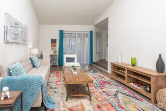 Interior Photo - The Oxford Apartments