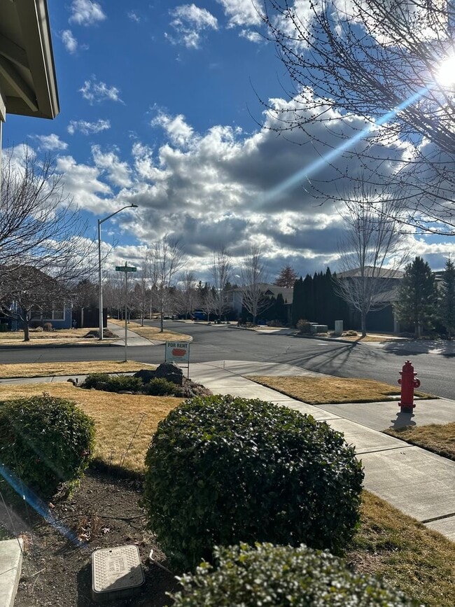 Building Photo - Beautiful Corner Lot Home In Quiet Community