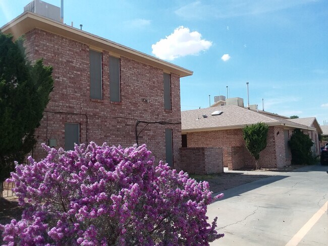 Foto del edificio - 2001 Amy Sue Dr