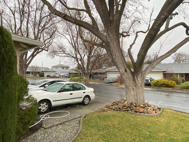 Foto del edificio - STATELY 3 Bed/2 Bath Home in Excellent, Qu...