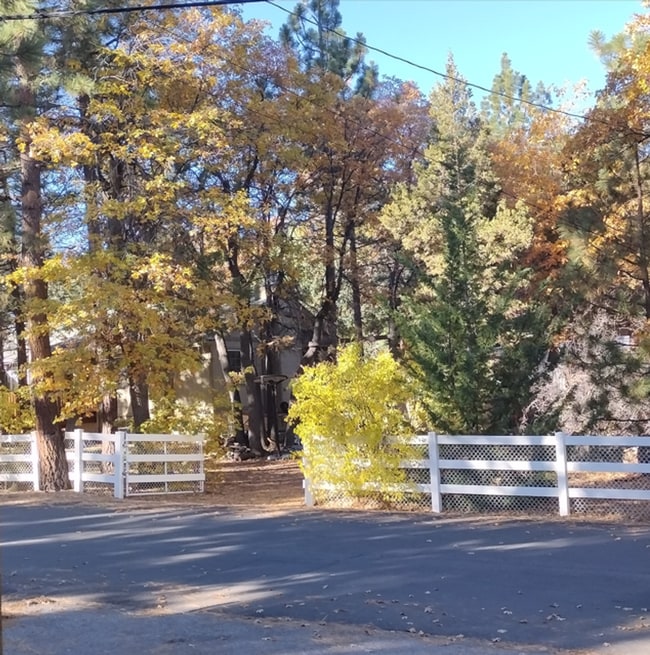 Building Photo - Sweet Sugarloaf Home