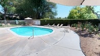 This inviting outdoor space centers around a generously sized oval swimming pool with crystal-clear blue water, framed by a broad, smooth concrete deck that provides ample room for lounging and entertaining. Stainless steel pool entry rails offer safe and convenient access, while the surrounding deck accommodates a selection of lounge chairs and a shaded umbrella table, creating a comfortable retreat for outdoor relaxation.

The pool area is enveloped by tall, neatly trimmed hedges and mature trees that provide a sense of privacy and natural enclosure, while also offering shade along the perimeter. Ornamental plantings and ground-level greenery add texture and visual interest to the borders of the deck. A fenced boundary reinforces the safety and defined character of the space.

Visible from the pool area is a two-story building with balconies and large windows, suggesting convenient access to the outdoor amenity from multiple levels. The overall ambiance is bright and open, benefiting from abundant natural sunlight throughout the day. This outdoor area offers a resort-inspired atmosphere well-suited for leisure and recreation in a warm, sunny climate.