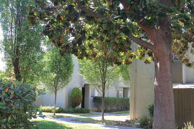 Foto del edificio - Village Green Apartments