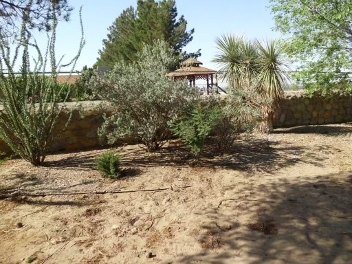 Building Photo - 5029 Shadow Mountain Rd