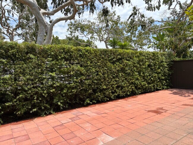 Patio completamente cercado - 4301 Jasmine Ave