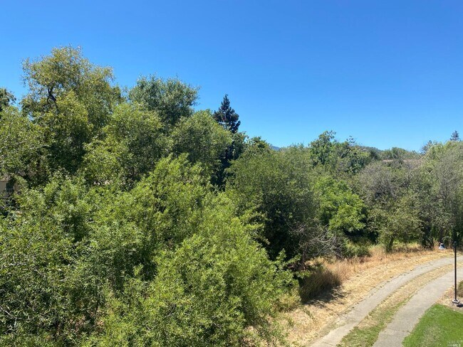 Foto del edificio - 1579 S Novato Blvd