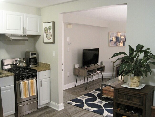 Kitchen/ Living - 44 Belmont St