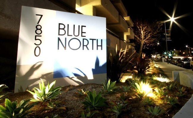 Entrada - Blue North