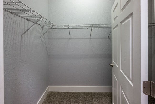 Building Photo - Citrus Vista