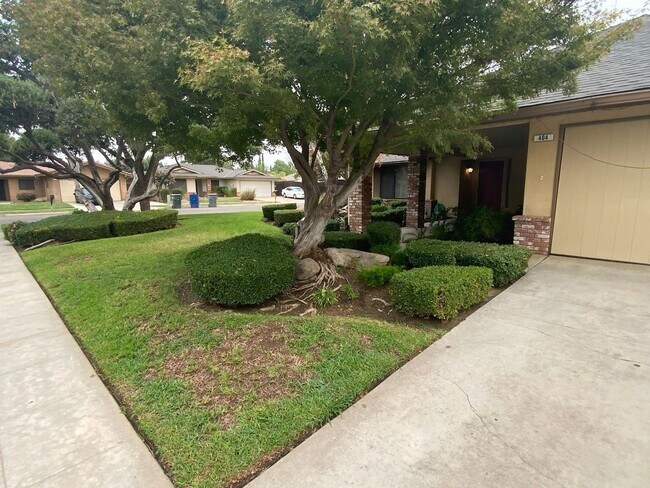 Foto del edificio - 3 br, 2 bath House - 404 N. Renn Ave