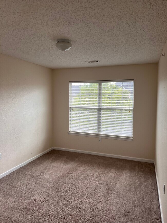 Foto del edificio - 240 Swaying Pine Ct