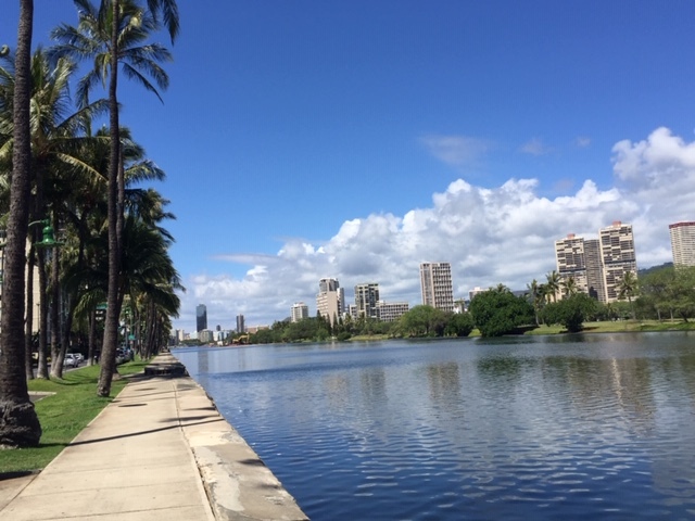 Building Photo - 2415 Ala Wai Blvd