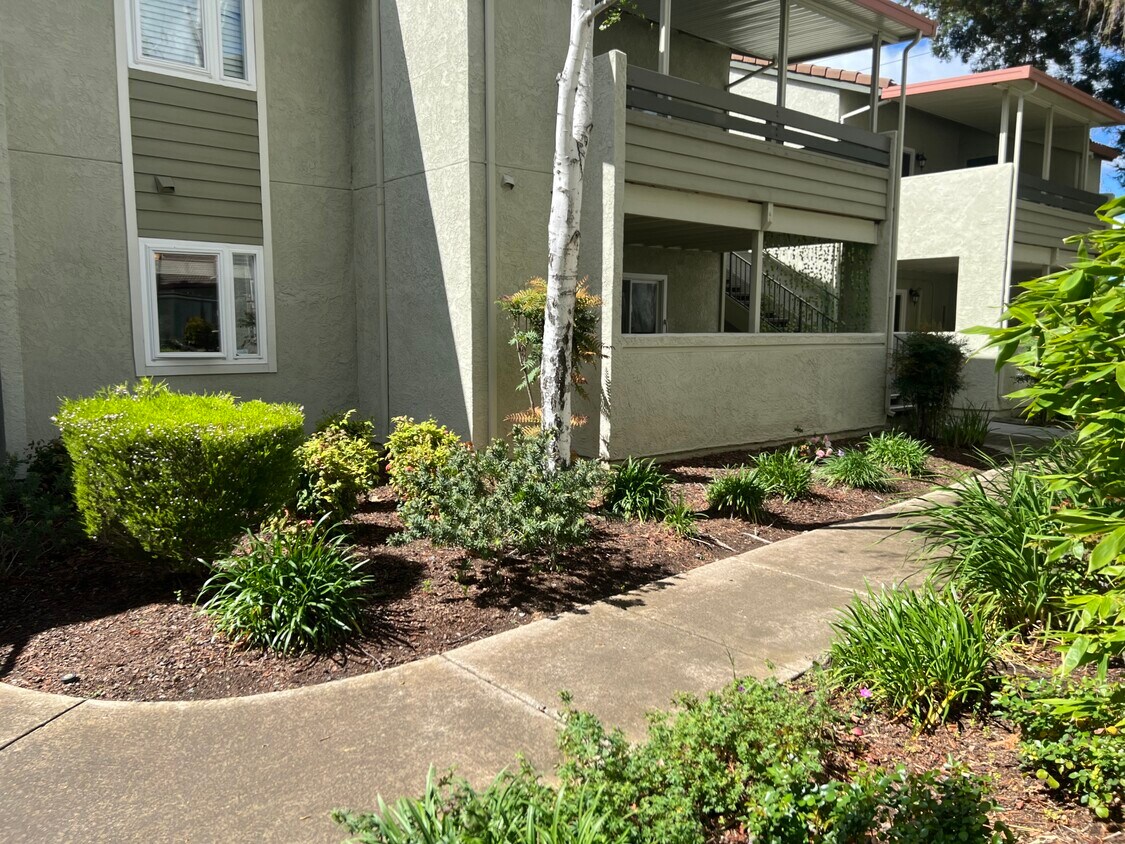 1505 Kirker Pass Rd Unit Partially Furnished, Concord, CA 94521 Condo