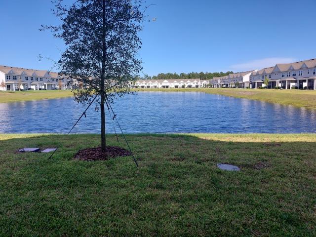 Foto del edificio - 3 bedroom in Jacksonville FL 32246