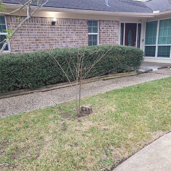 Building Photo - 1006 Walnut Bend Ln