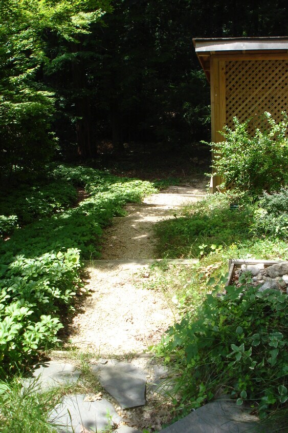 Pathway to entrance - 10112 Stoneybrook Dr