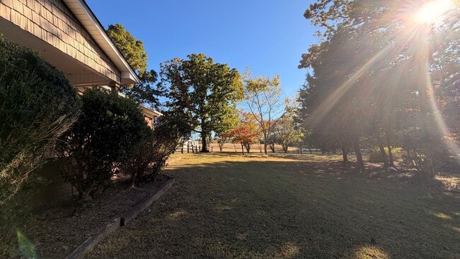 Building Photo - COMING SOON!