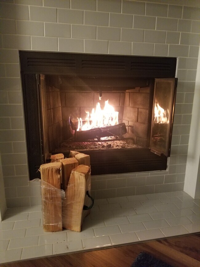 Fireplace - 620 Galer St