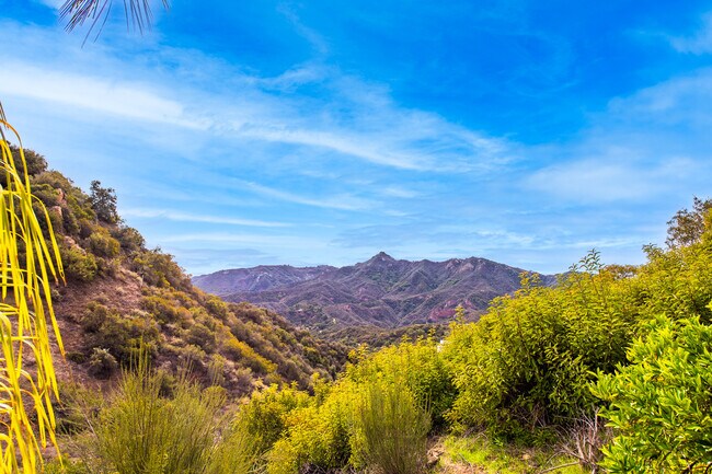 Foto del edificio - 2529 Topanga Skyline Dr