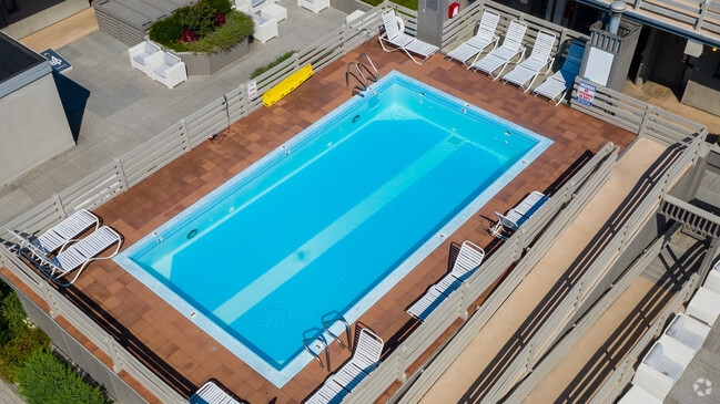 Piscina en la azotea - Fourth & Plum