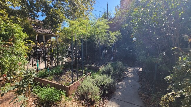 Foto del edificio - 3116 San Carlos Way