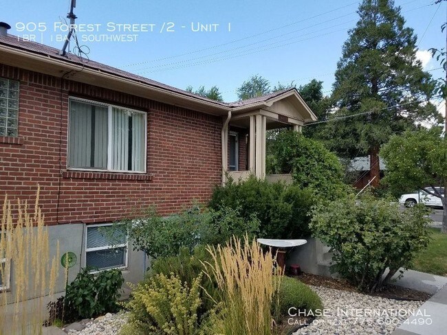 Building Photo - 905 Forest St