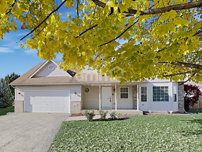 Building Photo - 2438 Foxtail Ct