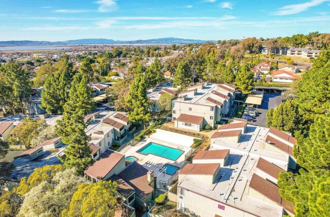 Building Photo - 1333 N Camino Alto