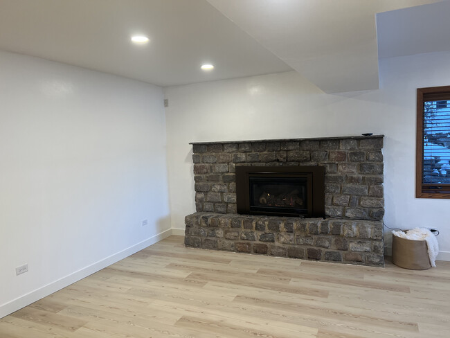 Gas Fireplace - 4051 Sheridan Ave S