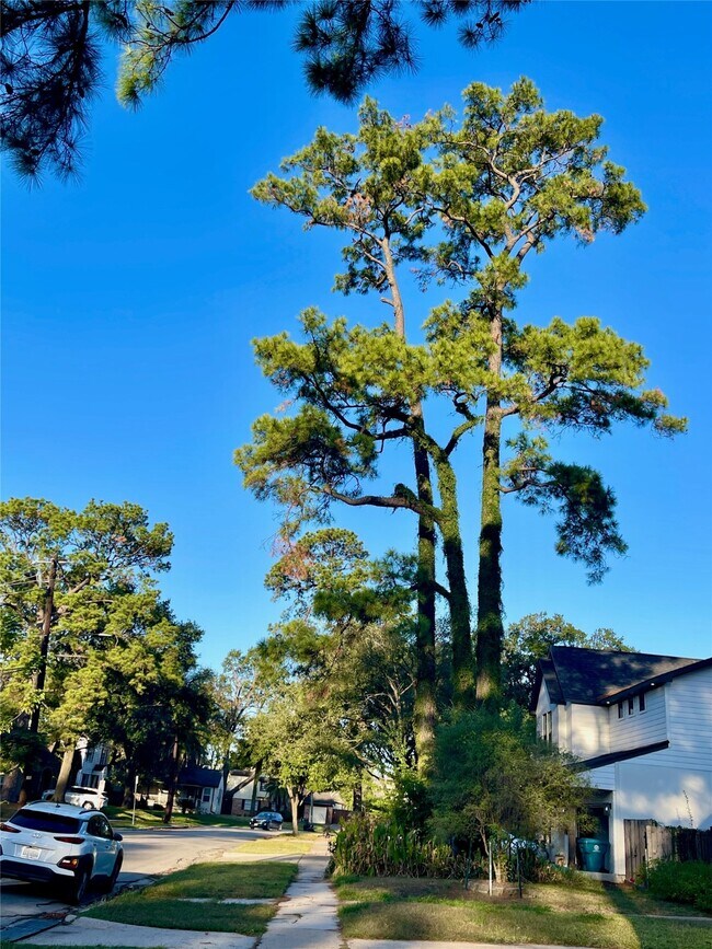 Foto del edificio - 6674 Sylvan Rd